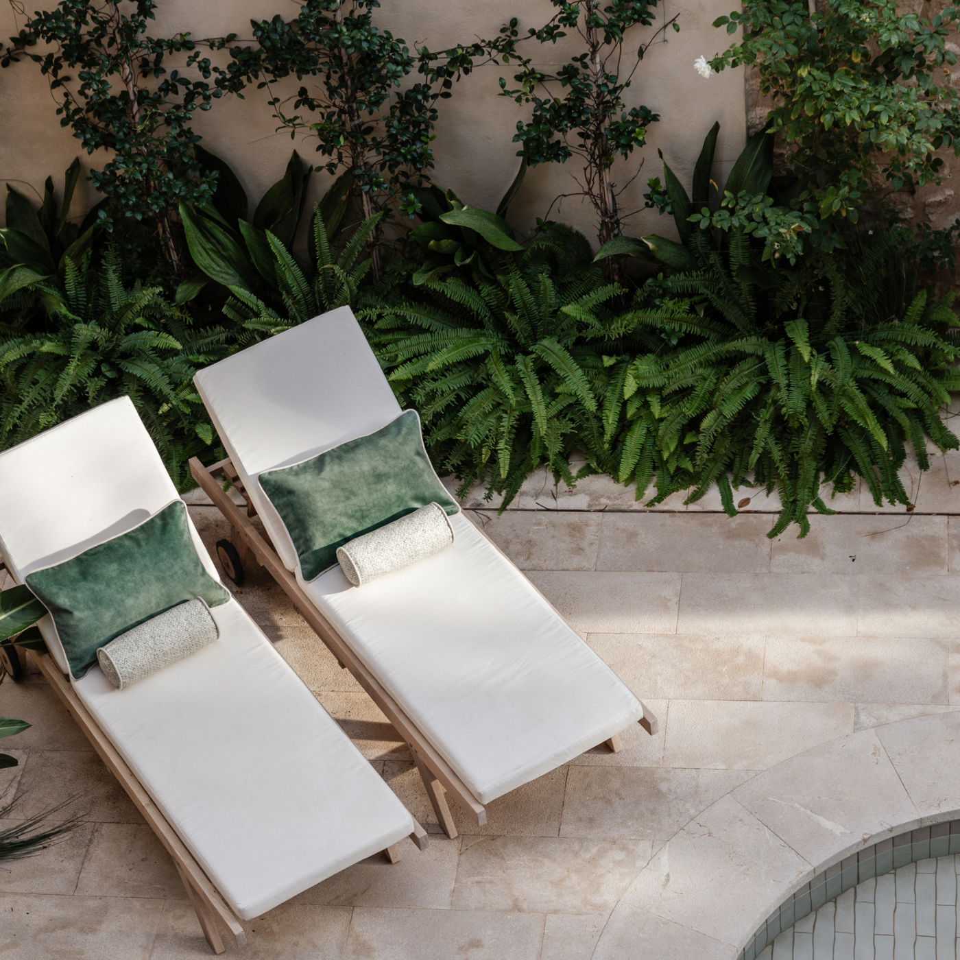 Tuscan Forest Tuscan Garden