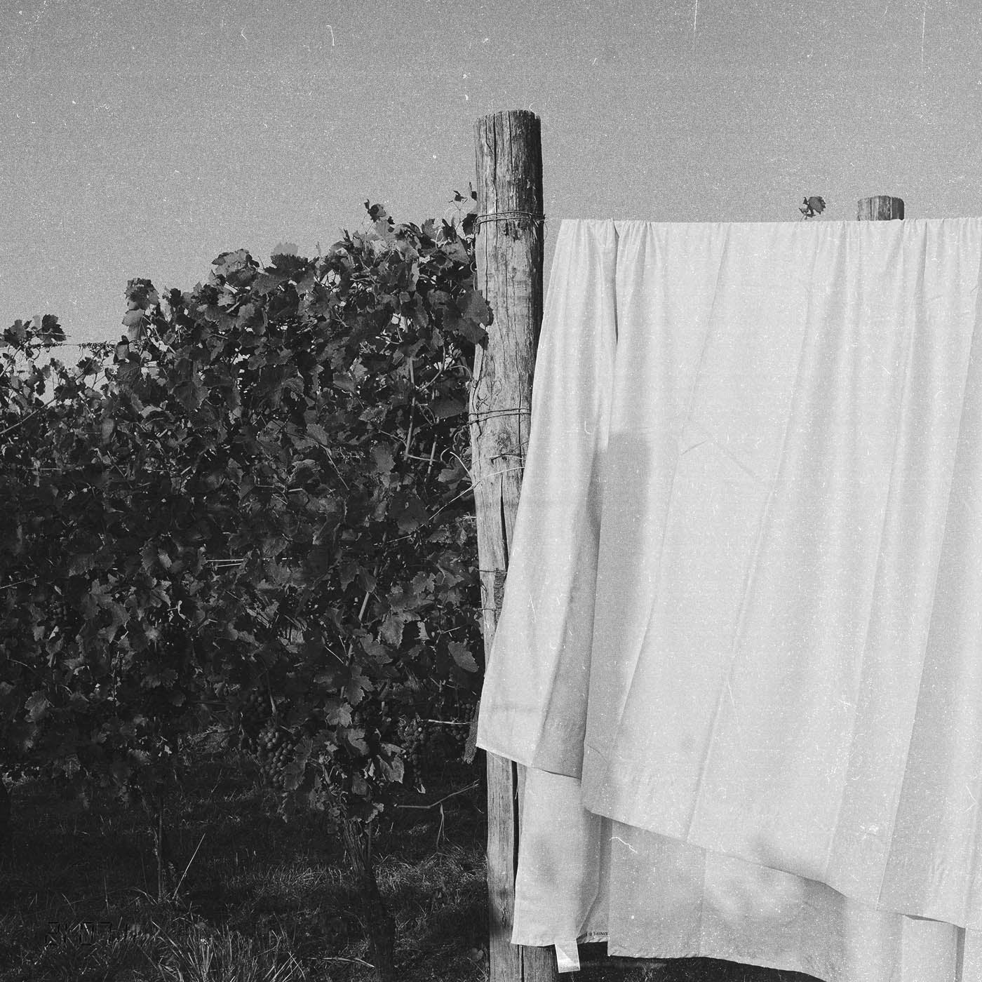 The Sheet | Supima Sateen - Snow White - Juniper